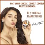 ⁦INSIGHT Cosmetics Pro Natural Powder Concealer Palette - Corrector, 15gm Buy Online at Best Price in UAE - Amazon.ae⁩ - الصورة ⁦4⁩