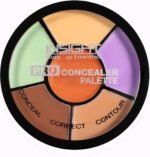 ⁦INSIGHT Cosmetics Pro Natural Powder Concealer Palette - Corrector, 15gm Buy Online at Best Price in UAE - Amazon.ae⁩ - الصورة ⁦10⁩