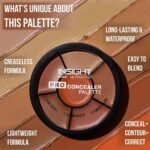 ⁦INSIGHT Cosmetics Pro Natural Powder Concealer Palette - Corrector, 15gm Buy Online at Best Price in UAE - Amazon.ae⁩ - الصورة ⁦2⁩